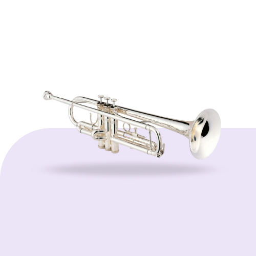 Amati Festival ART 313 trompet Bb