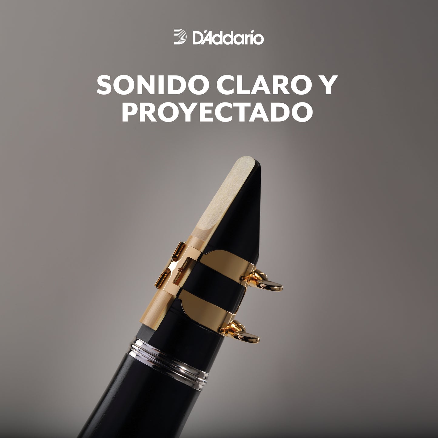 Rico by D'Addarío Contrabass Klarinet/Bass saxofoon