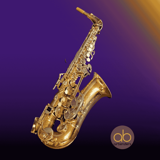 Selmer Bundy II Alt Saxofoon - occasion