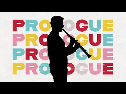 Selmer Prologue 17/6 Bb klarinet